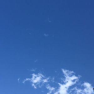 Meet your Posher, Zakiya